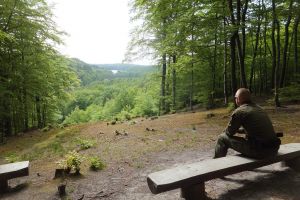 Akcja charytatywna Dorwij Blasta i spacer z leśnikami po pięknych lasach mirachowskich w niedzielę 8 maja