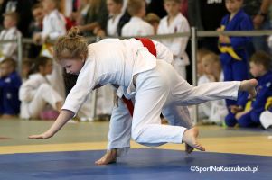 zukovia-judo-cup-2018-3051.jpg