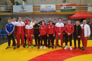 Mielewczyk walczył w mistrzostwach Europy, Wolski i Janzen na Węgrzech